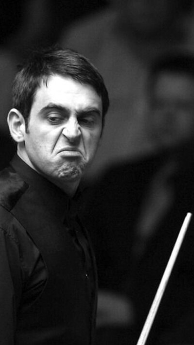 席约5周时 席约5周时